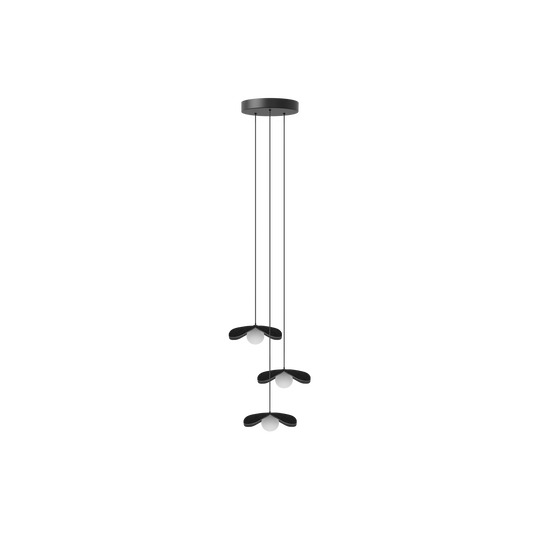 Forget Me Not Cluster 3 pendel med roset, sort egetræ • UMAGE